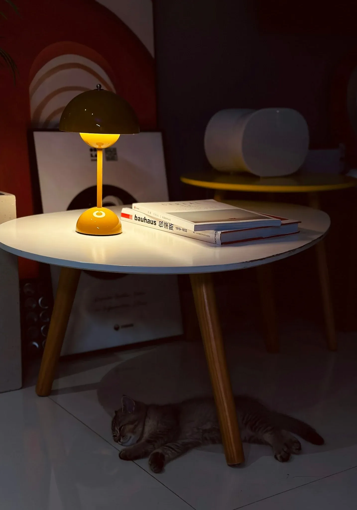 Tabby cat under a warm interior lamp